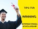 Top 7 Expert Tips For Winning International Scholarship